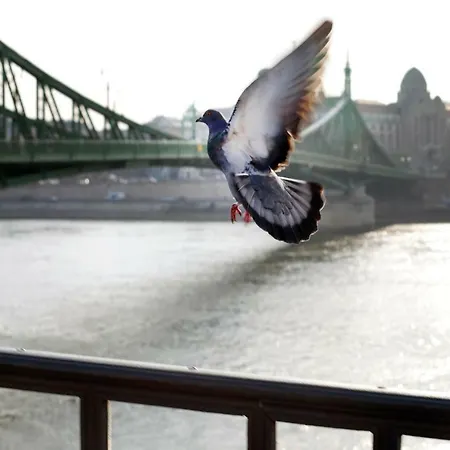 Grand Appartement Budapest